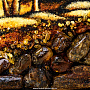 Картина янтарная "Горная река" 60х40 см, фотография 6. Интернет-магазин ЛАВКА ПОДАРКОВ