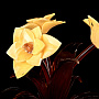 , фотография 1. Интернет-магазин ЛАВКА ПОДАРКОВ
