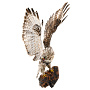 Чучело птицы настенное "Канюк-зимняк", фотография 2. Интернет-магазин ЛАВКА ПОДАРКОВ