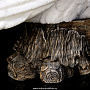 Скульптура из натурального камня "Сова". Ангидрит, фотография 6. Интернет-магазин ЛАВКА ПОДАРКОВ