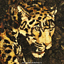 Панно янтарное "Леопард", фотография 3. Интернет-магазин ЛАВКА ПОДАРКОВ