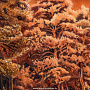 Картина янтарная "Осенний лес" 40х60 см, фотография 2. Интернет-магазин ЛАВКА ПОДАРКОВ