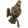 Настенное чучело птицы "Канюк обыкновенный", фотография 3. Интернет-магазин ЛАВКА ПОДАРКОВ