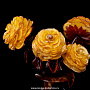 Розы в вазе из янтаря, фотография 2. Интернет-магазин ЛАВКА ПОДАРКОВ