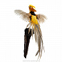 Чучело настенное "Лимонный фазан", фотография 1. Интернет-магазин ЛАВКА ПОДАРКОВ