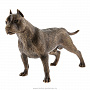 Бронзовая статуэтка "Собака Стаффордширский терьер", фотография 1. Интернет-магазин ЛАВКА ПОДАРКОВ