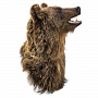 Чучело настенное "Голова медведя", фотография 4. Интернет-магазин ЛАВКА ПОДАРКОВ