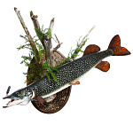  ЧУЧЕЛО "ЩУКА"