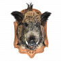 Чучело настенное "Голова кабана", фотография 3. Интернет-магазин ЛАВКА ПОДАРКОВ