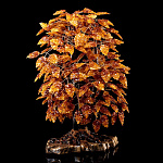 0066488-НП ДЕРЕВО ДЕНЕЖНОЕ ЯНТАРНОЕ на подставке, выс. 60 см, шир. подставки17*33см