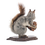 Чучело настольное "Белка с шишкой", фотография 3. Интернет-магазин ЛАВКА ПОДАРКОВ