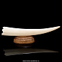 Скульптура из клыка моржа "Белый медведь", фотография 4. Интернет-магазин ЛАВКА ПОДАРКОВ