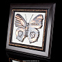 Панно "А бабочка крылышками…и КОВИД-19", фотография 4. Интернет-магазин ЛАВКА ПОДАРКОВ