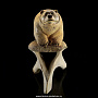 Скульптура из кости кита "Удачливый рыбак", фотография 3. Интернет-магазин ЛАВКА ПОДАРКОВ