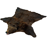  Ковер из шкуры  БУРОГО МЕДВЕДЯ (на подкладке) размер 230*240