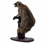 Чучело настольное "Енот-полоскун", фотография 1. Интернет-магазин ЛАВКА ПОДАРКОВ