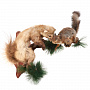 Чучело настенное "Куница и белка", фотография 2. Интернет-магазин ЛАВКА ПОДАРКОВ
