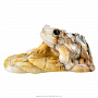 Скульптура из натурального камня "Лягушка". Ангидрид, фотография 3. Интернет-магазин ЛАВКА ПОДАРКОВ