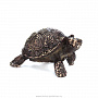 Бронзовая статуэтка "Черепаха", фотография 3. Интернет-магазин ЛАВКА ПОДАРКОВ