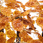 Денежное дерево из янтаря. 369 листьев, фотография 5. Интернет-магазин ЛАВКА ПОДАРКОВ