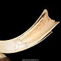 Скульптура из бивня мамонта "Ледниковый период", фотография 8. Интернет-магазин ЛАВКА ПОДАРКОВ