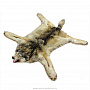 Шкура волка (ковер на подкладке), фотография 5. Интернет-магазин ЛАВКА ПОДАРКОВ