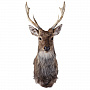 Настенное чучело "Голова пятнистого оленя", фотография 7. Интернет-магазин ЛАВКА ПОДАРКОВ