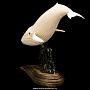 Скульптура из клыка моржа "Кит", фотография 3. Интернет-магазин ЛАВКА ПОДАРКОВ