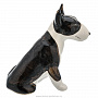 Фарфоровая статуэтка "Собака Бультерьер", фотография 2. Интернет-магазин ЛАВКА ПОДАРКОВ