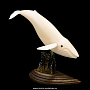 Скульптура из клыка моржа "Кит", фотография 4. Интернет-магазин ЛАВКА ПОДАРКОВ