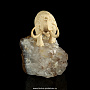 Скульптура из кости "Мамонт". Бивень мамонта, аметист, фотография 5. Интернет-магазин ЛАВКА ПОДАРКОВ