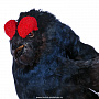 Чучело птицы "Тетерев на ветке", фотография 3. Интернет-магазин ЛАВКА ПОДАРКОВ