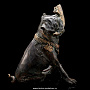 Бронзовая статуэтка "Собака Лилу с арбузом". Авторская работа., фотография 4. Интернет-магазин ЛАВКА ПОДАРКОВ