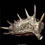 /УПАК/70*50*24см Упаковка Под РОГ ЛОСЯ "Охота на кабана" (иск.кожа)