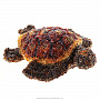 Скульптура из янтаря "Черепаха", фотография 2. Интернет-магазин ЛАВКА ПОДАРКОВ