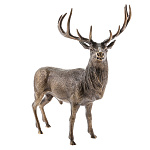 15661 Бронза Скульптура "Благородный олень" 15*19см