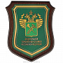 Плакета-щит "Таможенная служба РФ", фотография 1. Интернет-магазин ЛАВКА ПОДАРКОВ