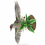 Чучело птицы "Зеленый дятел", фотография 3. Интернет-магазин ЛАВКА ПОДАРКОВ