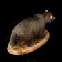 Скульптура из натурального камня "Медведь", фотография 5. Интернет-магазин ЛАВКА ПОДАРКОВ