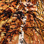 Картина янтарная "Осенний лес" 98х75 см, фотография 3. Интернет-магазин ЛАВКА ПОДАРКОВ