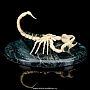 Скульптура из бивня мамонта "Скорпион", фотография 2. Интернет-магазин ЛАВКА ПОДАРКОВ