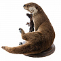 Чучело настольное "Выдра", фотография 7. Интернет-магазин ЛАВКА ПОДАРКОВ