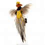 Чучело настенное "Лимонный фазан", фотография 4. Интернет-магазин ЛАВКА ПОДАРКОВ