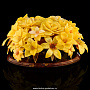 Настольная цветочная композиция из янтаря, фотография 7. Интернет-магазин ЛАВКА ПОДАРКОВ