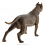 Бронзовая статуэтка "Собака Стаффордширский терьер", фотография 5. Интернет-магазин ЛАВКА ПОДАРКОВ