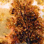 Картина янтарная "Осенний лес" 78х58 см, фотография 5. Интернет-магазин ЛАВКА ПОДАРКОВ