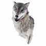 Чучело настенное "Голова волка", фотография 2. Интернет-магазин ЛАВКА ПОДАРКОВ